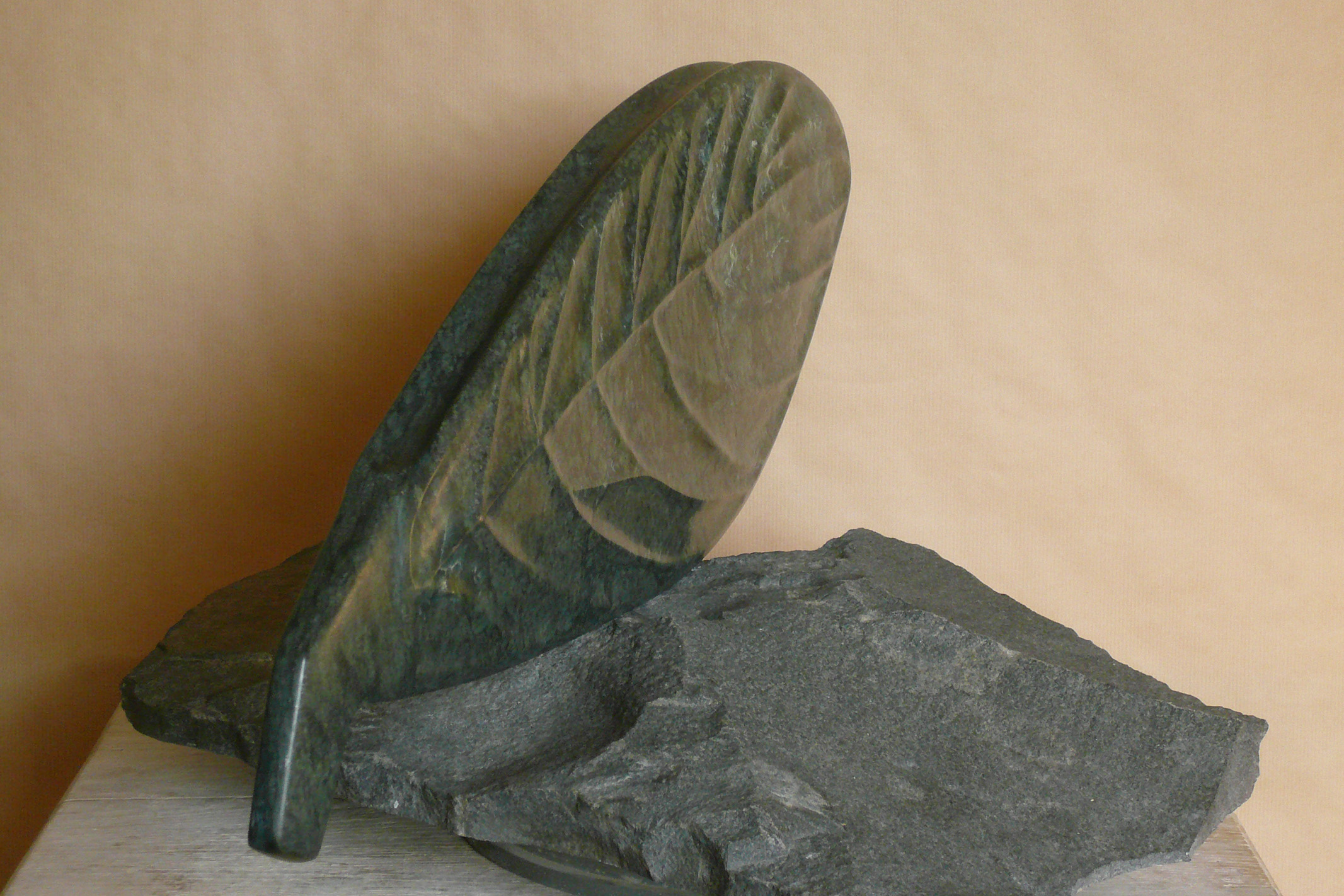23 Chrisopa, 2010, serpentine, L 71,5cm