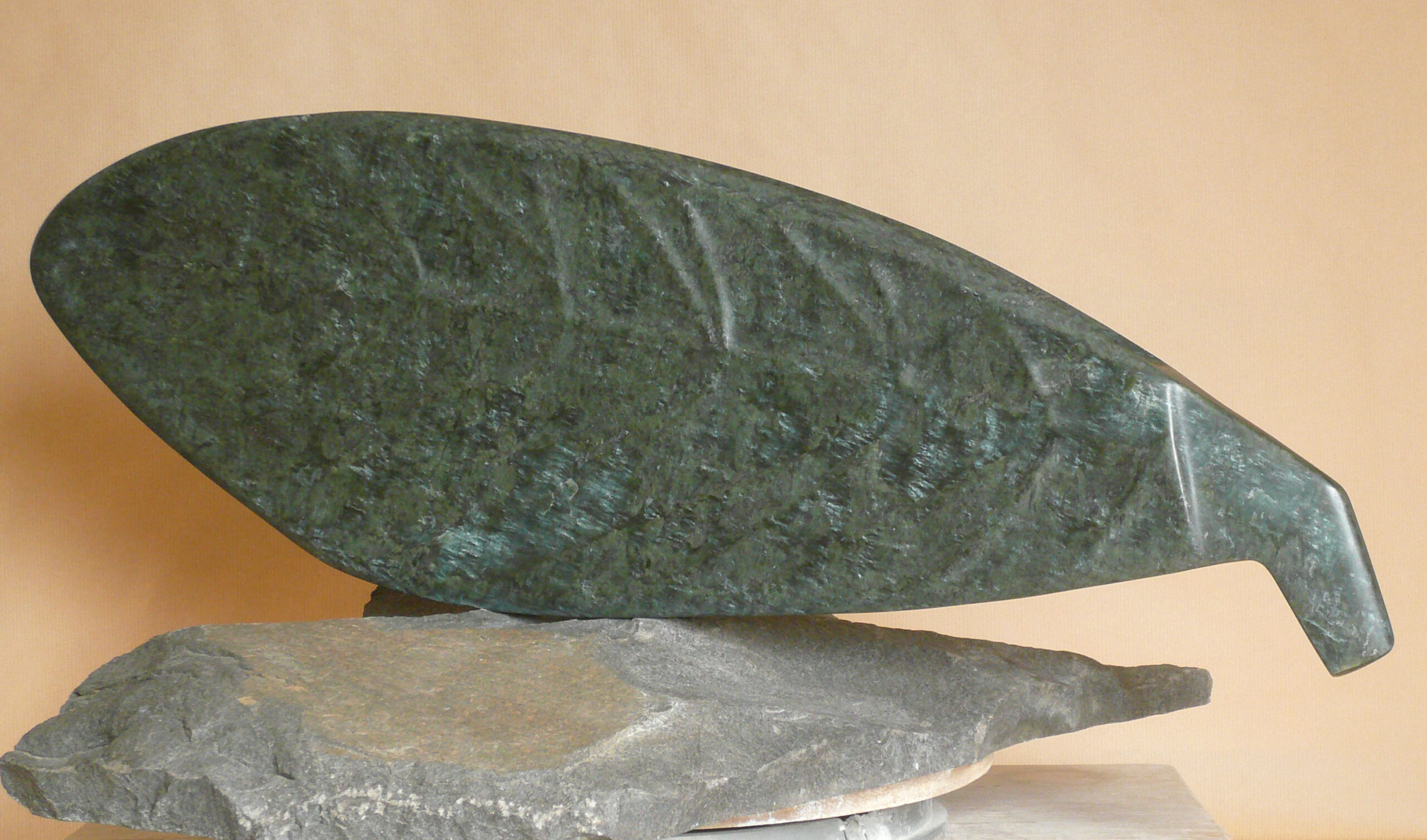24 Chrisopa, 2010, Serpentine, L 71,5 cm